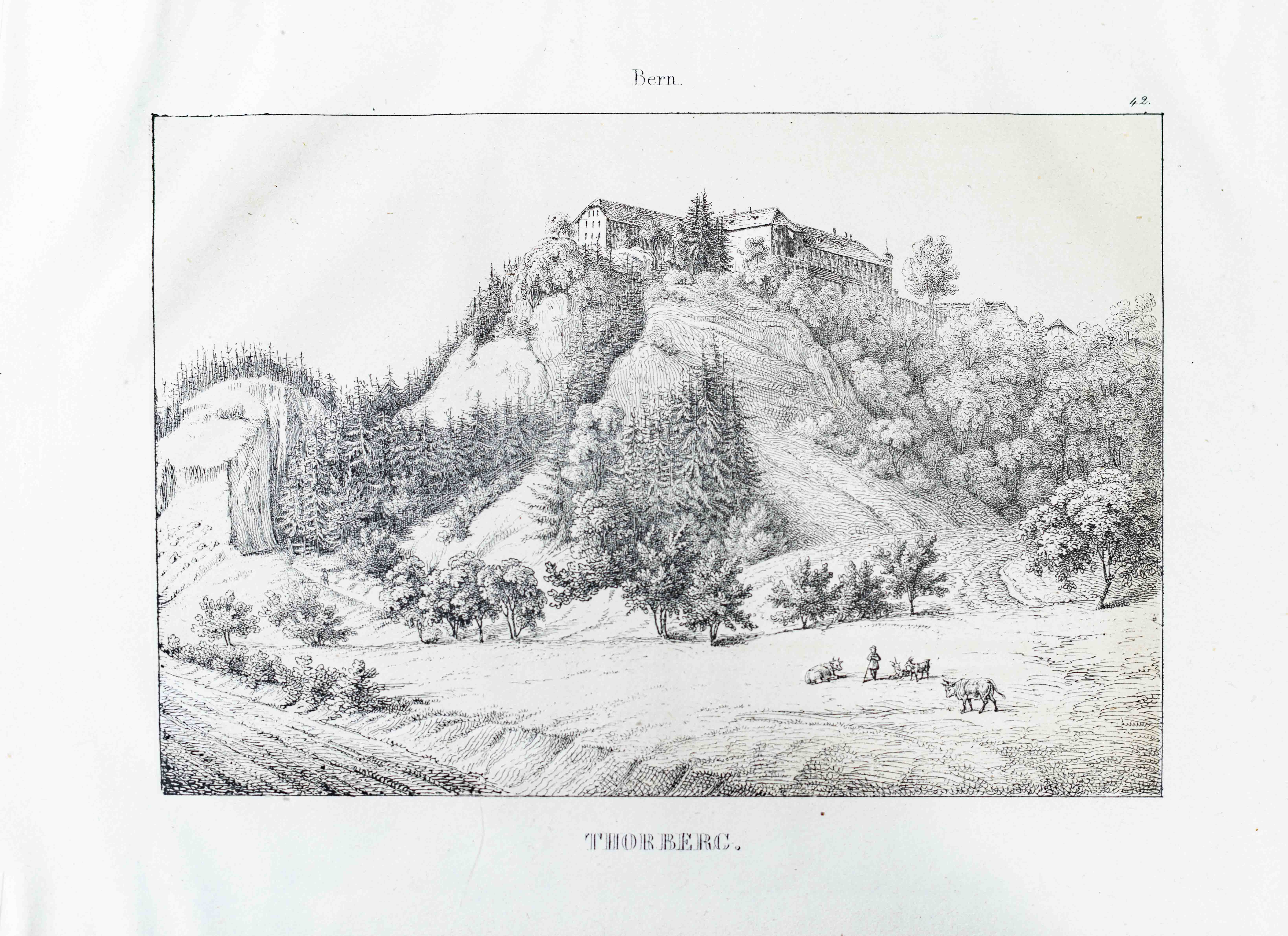 WAGNER, J.F. - - Asuel / Erguel / Felsenburg /Gerenstein / Grassburg / Jagdburg / La Bourg / MontvoieSignau / Thorberg / Toffen / Weissenau / Verkauf pro Blatt.