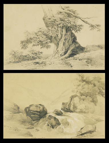 COIGNET Jules (1798-1860, cole franaise): - tudes de la Nature. Deux dessins originaux  la mine de plomb sur papier beige.