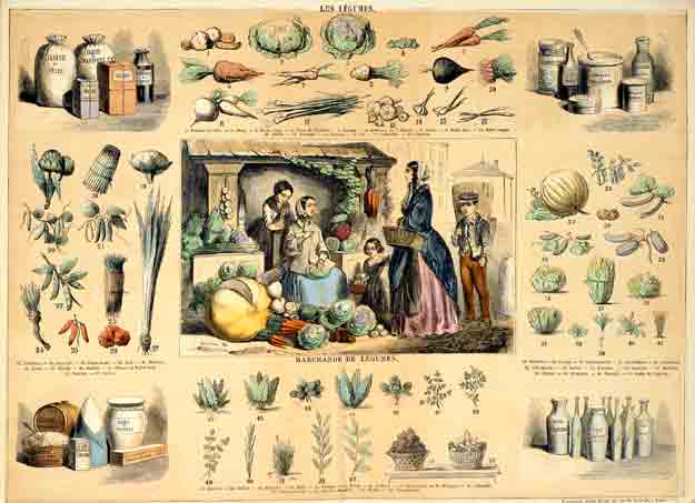  - Les lgumes. Avec 4 ff de texte explicatif, tir de: DELBRCK, Jules: Les rcrations instructives ca. 1860. Lithographie originale en couleurs par BELIN & BETHMONT  & BREVIERE.