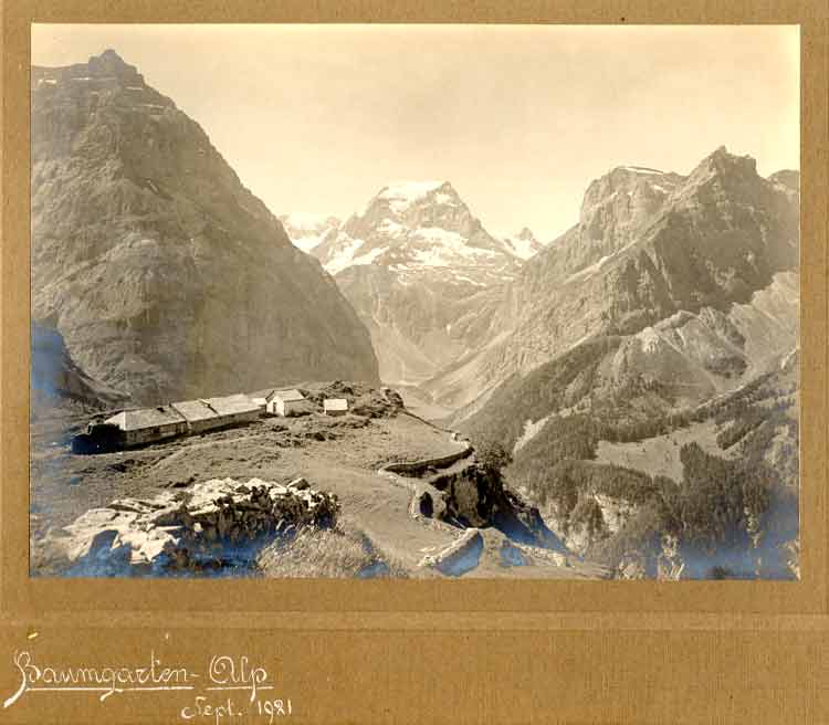  - Alpen. - Baumgarten-Alp Sept. 1921. Landschaftsfoto aus den Schweizer Alpen. Original Fotografie.